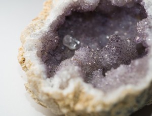 Learn About the World Around You at the Museum of Science Blog List3