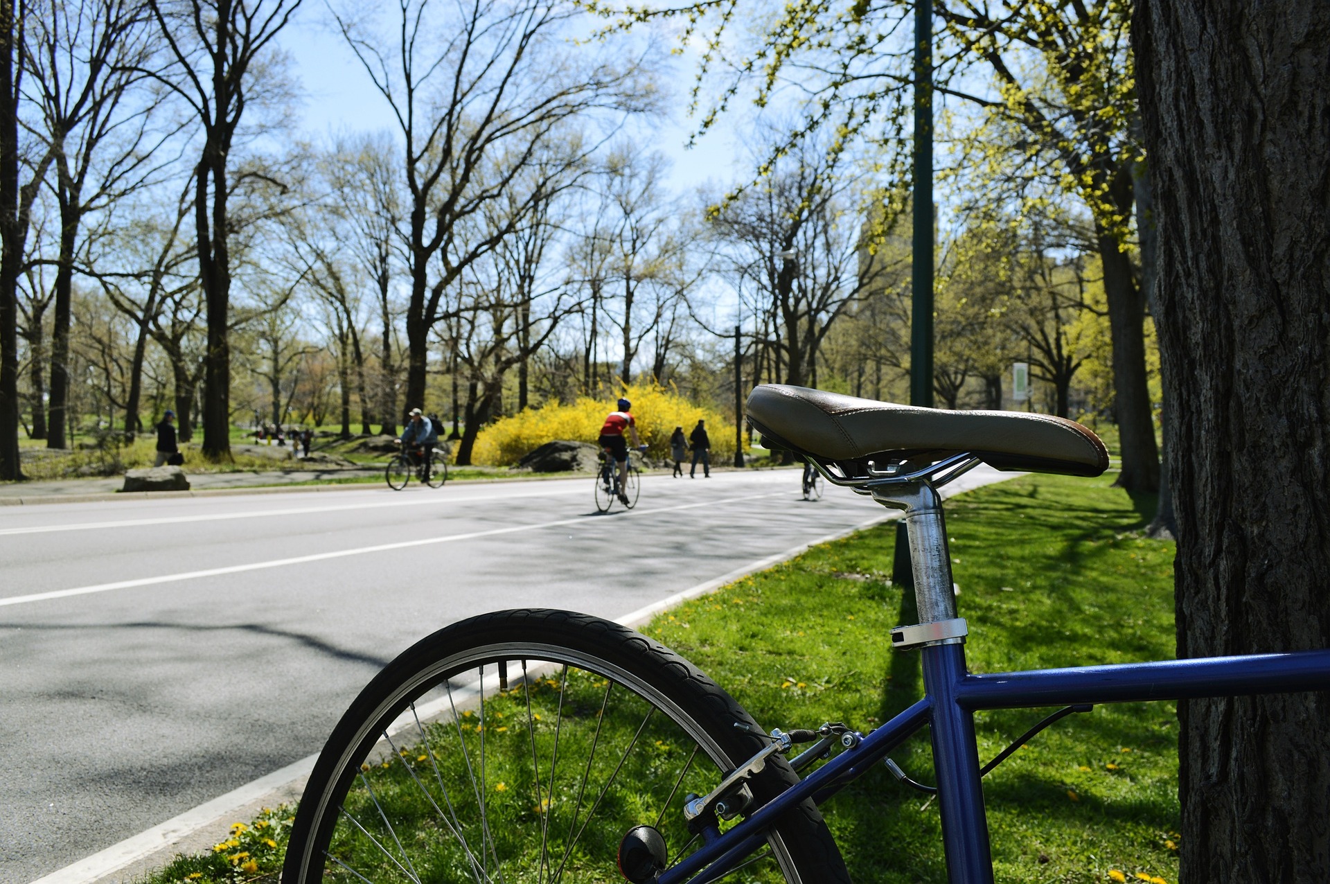 Enjoy Springtime in Cambridge Details