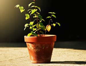 Make the Most of Your Patio or Balcony With These Decorating Tips Blog List1