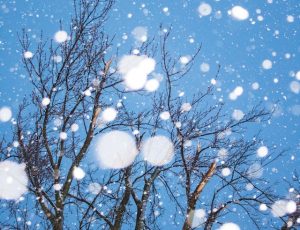 Winter Holidays Blog List1