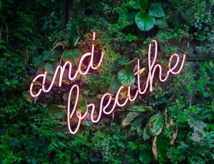 Practicing Self-Care at Twenty|20 Blog List2